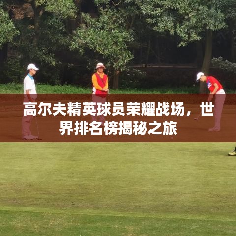 高尔夫精英球员荣耀战场，世界排名榜揭秘之旅