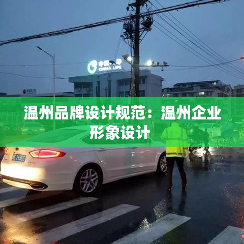 温州品牌设计规范：温州企业形象设计 
