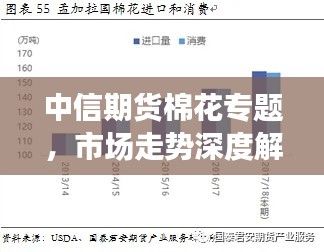 中信期货棉花专题，市场走势深度解析与未来展望