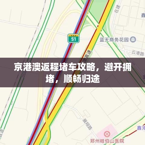 京港澳返程堵车攻略，避开拥堵，顺畅归途