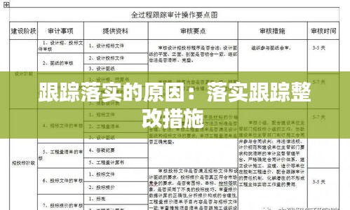 跟踪落实的原因：落实跟踪整改措施 