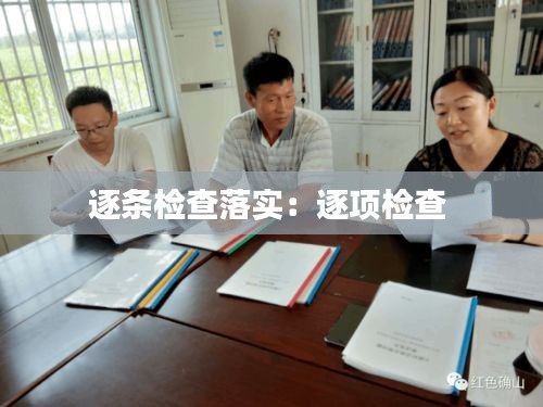 逐条检查落实：逐项检查 