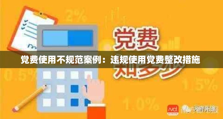 党费使用不规范案例：违规使用党费整改措施 