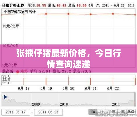 张掖仔猪最新价格，今日行情查询速递
