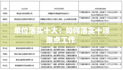 单位落实十大：如何落实十项重点工作 