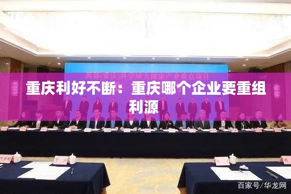 重庆利好不断：重庆哪个企业要重组利源 