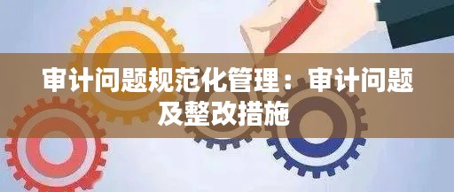 审计问题规范化管理：审计问题及整改措施 