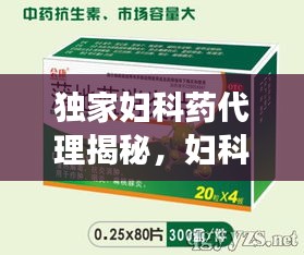 独家妇科药代理揭秘，妇科药品市场的无限商机探索