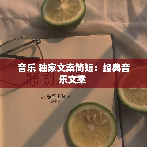 音乐 独家文案简短：经典音乐文案 