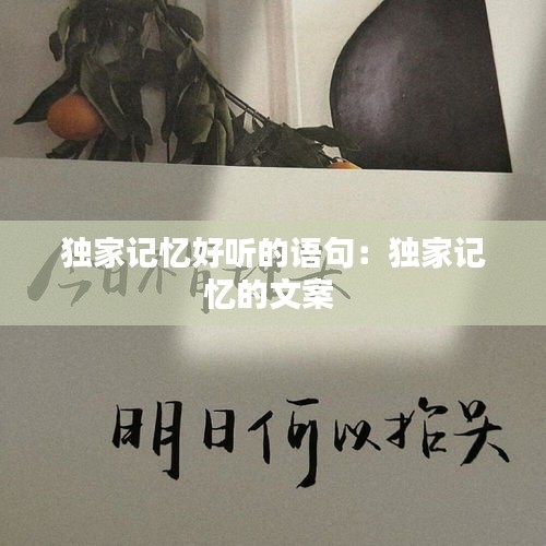 独家记忆好听的语句：独家记忆的文案 