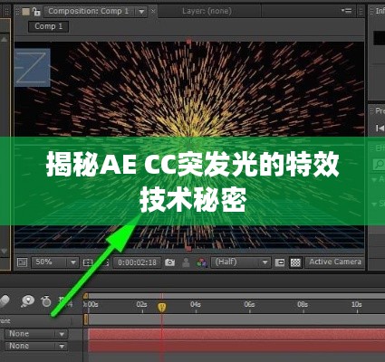 贵不可言 第2页