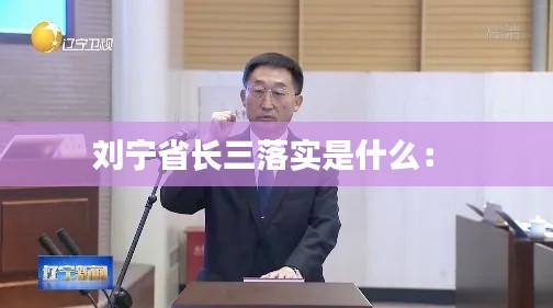 刘宁省长三落实是什么： 