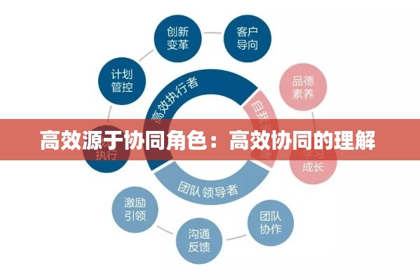 高效源于协同角色：高效协同的理解 
