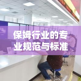 保姆行业的专业规范与标准，打造优质服务标杆