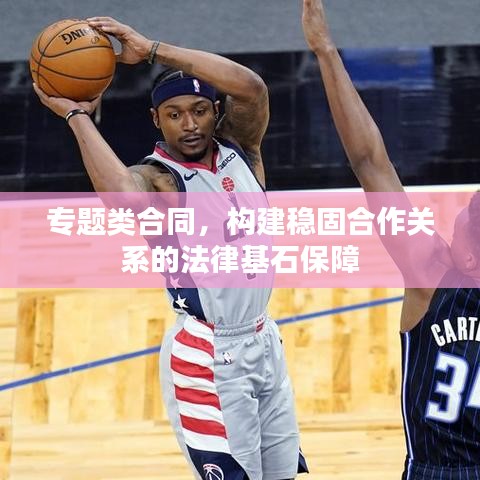 专题类合同，构建稳固合作关系的法律基石保障