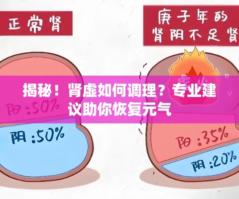 揭秘！肾虚如何调理？专业建议助你恢复元气