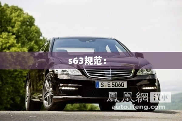 s63规范： 