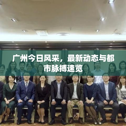 广州今日风采，最新动态与都市脉搏速览