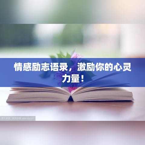 情感励志语录，激励你的心灵力量！