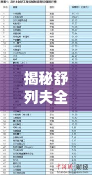 揭秘舒列夫全球排名及领域影响力与地位