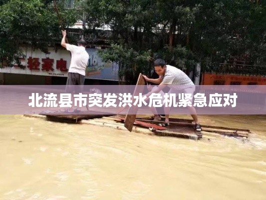 北流县市突发洪水危机紧急应对
