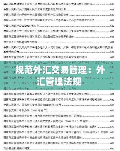 规范外汇交易管理：外汇管理法规 