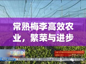 草率从事 第2页