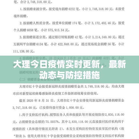 大理今日疫情实时更新，最新动态与防控措施