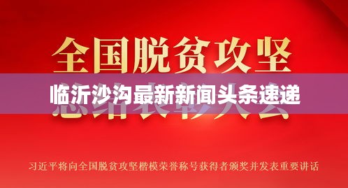 临沂沙沟最新新闻头条速递