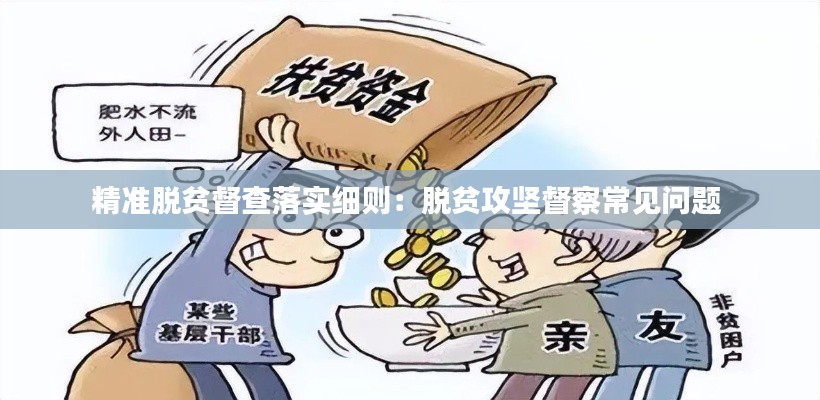 精准脱贫督查落实细则：脱贫攻坚督察常见问题 