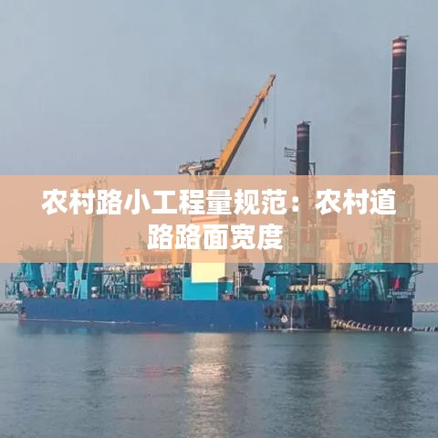 农村路小工程量规范：农村道路路面宽度 