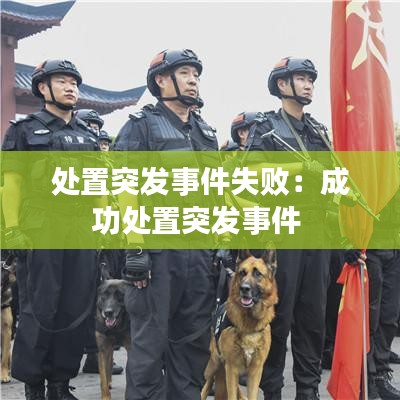 处置突发事件失败：成功处置突发事件 