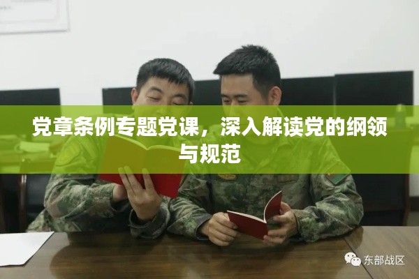 党章条例专题党课，深入解读党的纲领与规范