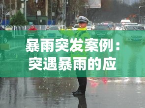 暴雨突发案例：突遇暴雨的应急处置办法 