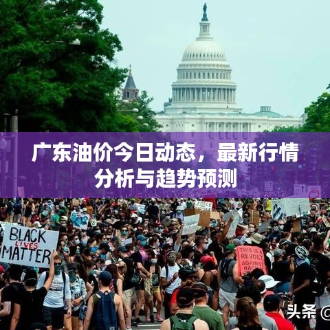 广东油价今日动态，最新行情分析与趋势预测