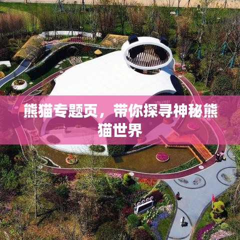熊猫专题页，带你探寻神秘熊猫世界