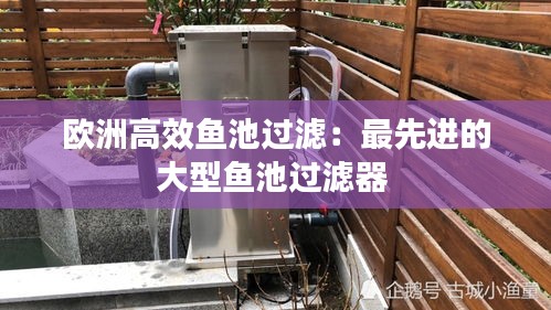 欧洲高效鱼池过滤：最先进的大型鱼池过滤器 