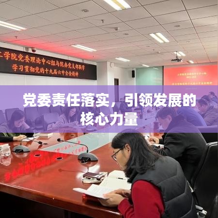 党委责任落实，引领发展的核心力量