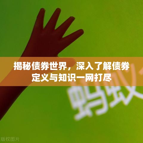 揭秘债券世界，深入了解债券定义与知识一网打尽