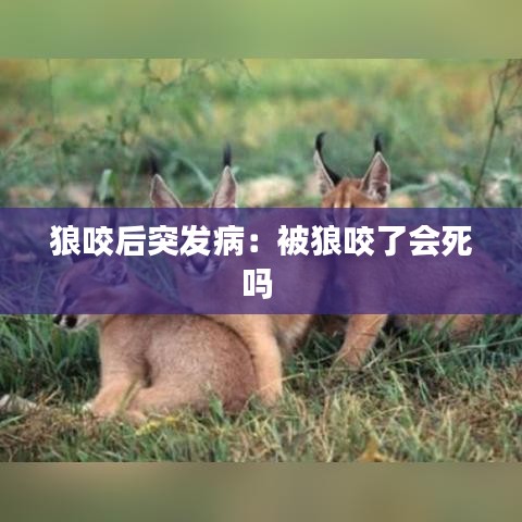 箭拔弩张 第2页