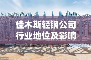 佳木斯轻钢公司行业地位及影响力深度解析