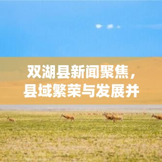 双湖县新闻聚焦，县域繁荣与发展并进的崭新面貌