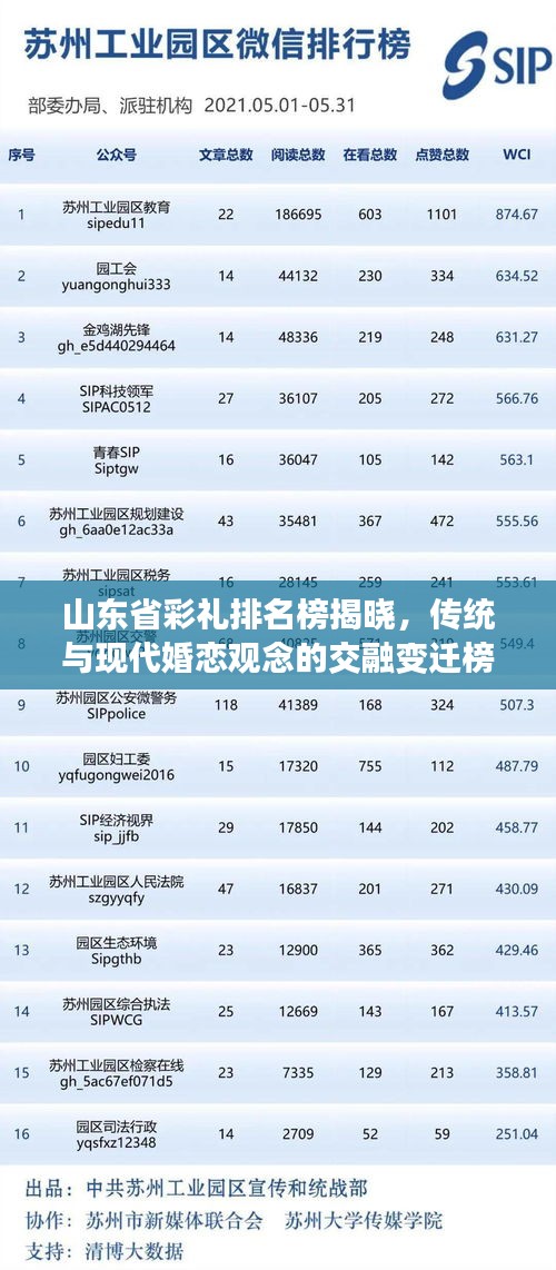 山东省彩礼排名榜揭晓，传统与现代婚恋观念的交融变迁榜单TOP10