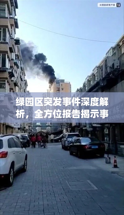绿园区突发事件深度解析，全方位报告揭示事件真相