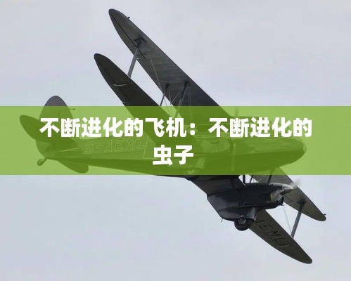 不断进化的飞机：不断进化的虫子 