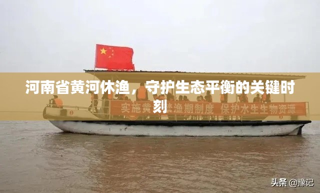 河南省黄河休渔，守护生态平衡的关键时刻