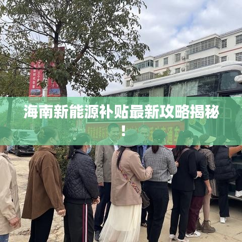 海南新能源补贴最新攻略揭秘！