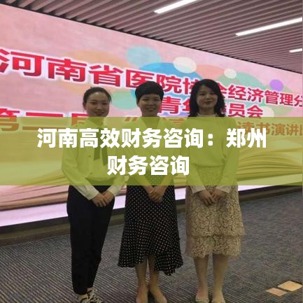 河南高效财务咨询：郑州财务咨询 