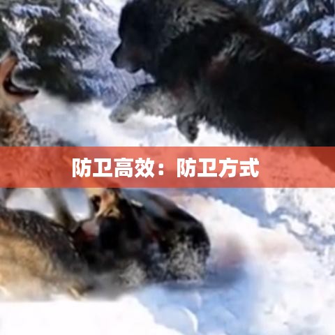 情不自禁 第2页