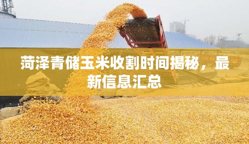 吉光片羽 第2页